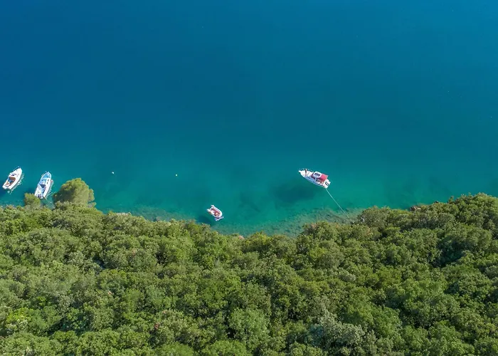 Villa Rosa Labin (Istria)